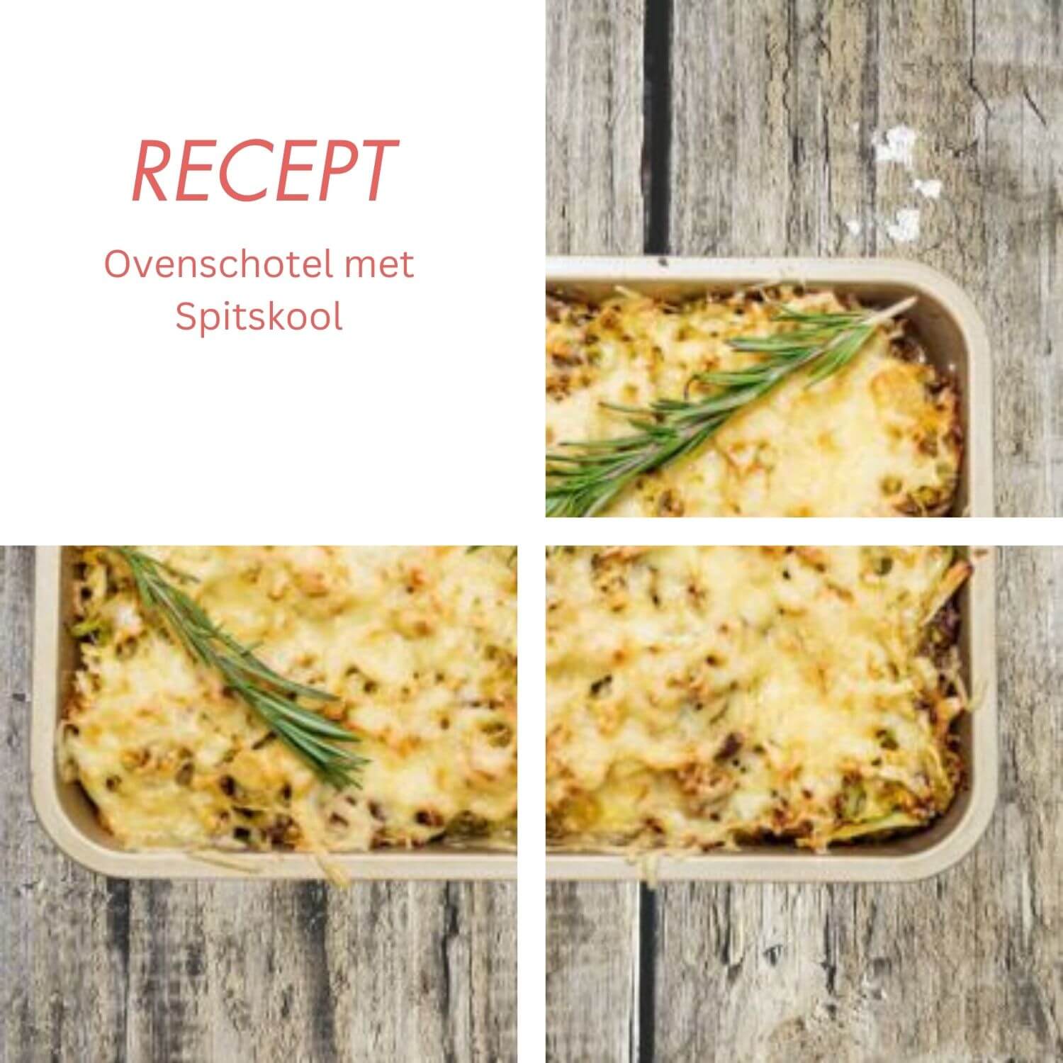 Ovenschotel met Spitskool